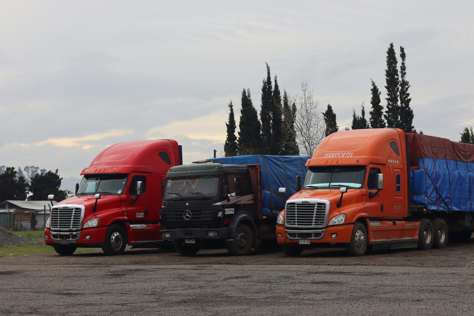Transporte terrestre